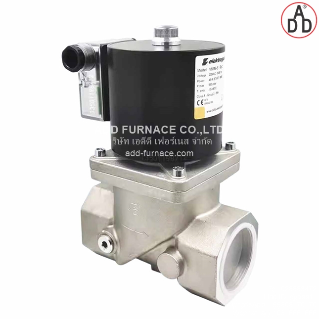 Elektrogas Model VMR6-5 Rp2(1)